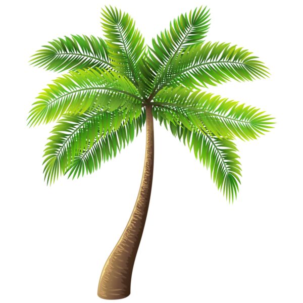 Palm Tree Thumbnail