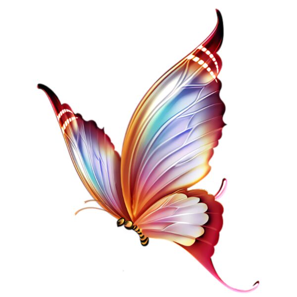 Sunset Butterfly Thumbnail